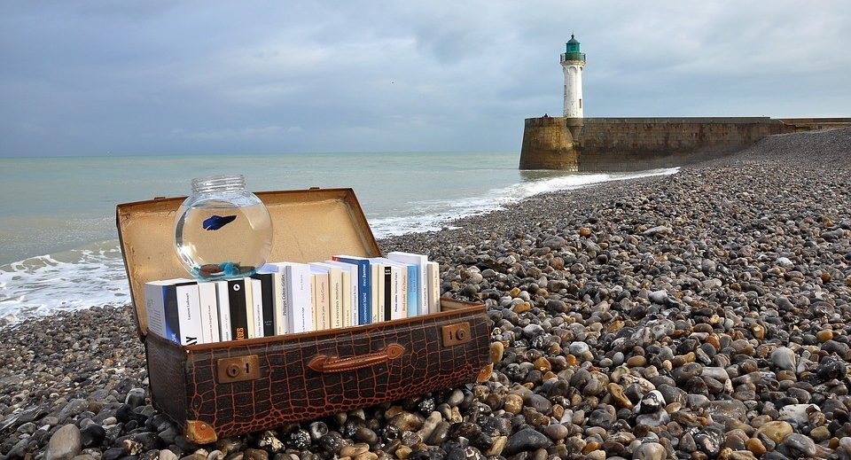 Photo: valise ouverte pleine de livres posées sur une plage de galets.